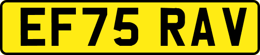 EF75RAV