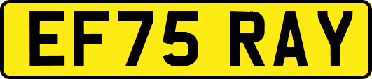 EF75RAY