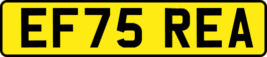EF75REA