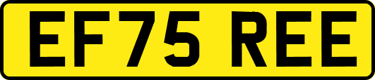 EF75REE