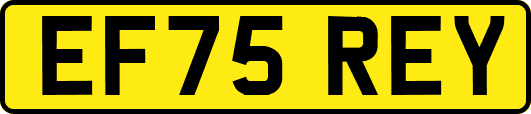 EF75REY