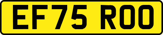 EF75ROO