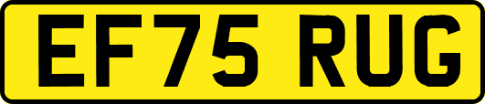 EF75RUG
