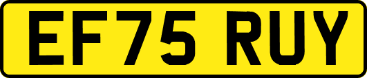 EF75RUY