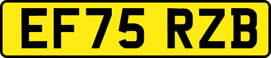 EF75RZB