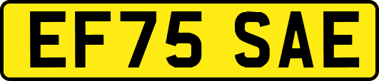EF75SAE