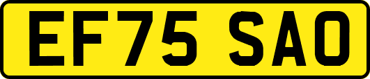 EF75SAO