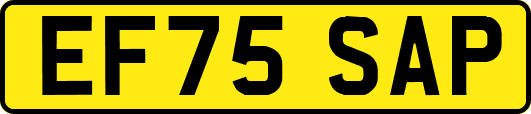 EF75SAP