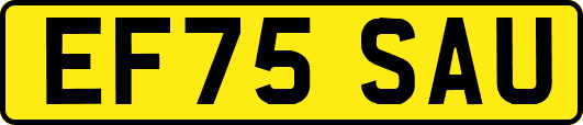EF75SAU