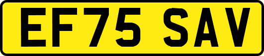 EF75SAV
