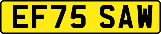 EF75SAW