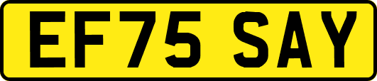 EF75SAY