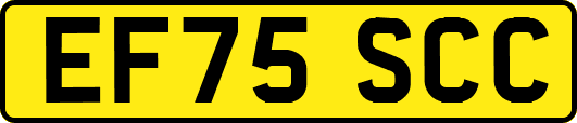 EF75SCC