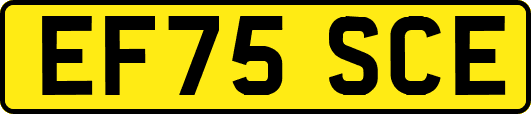 EF75SCE