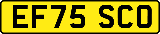 EF75SCO