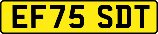 EF75SDT