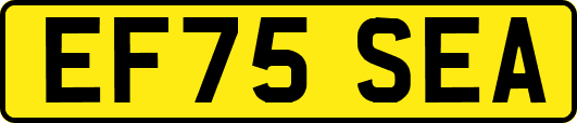 EF75SEA