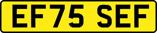 EF75SEF