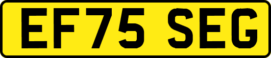 EF75SEG