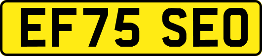 EF75SEO