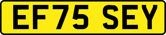EF75SEY