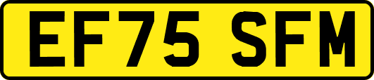 EF75SFM