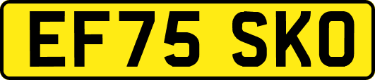 EF75SKO
