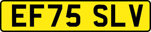 EF75SLV