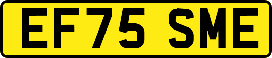 EF75SME