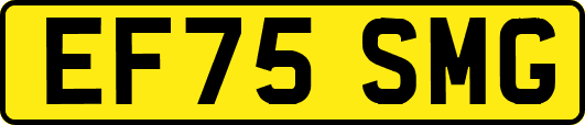EF75SMG