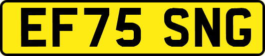 EF75SNG