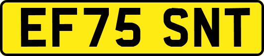 EF75SNT