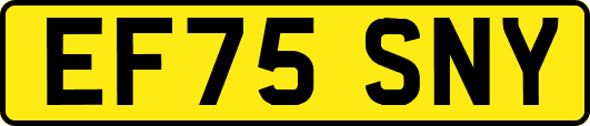 EF75SNY