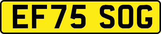 EF75SOG