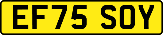 EF75SOY