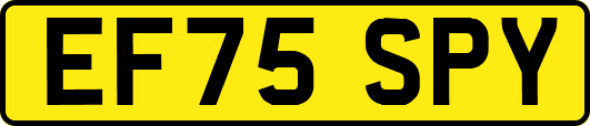 EF75SPY