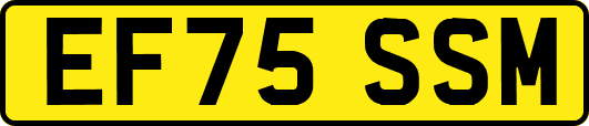 EF75SSM