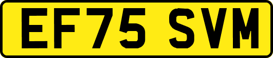EF75SVM
