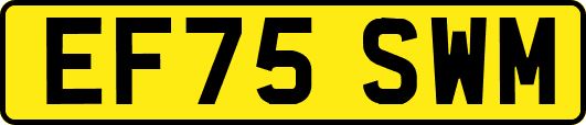 EF75SWM