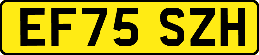 EF75SZH