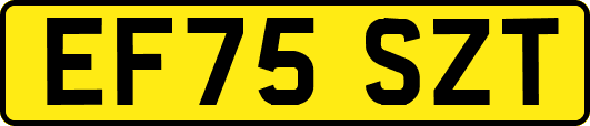 EF75SZT