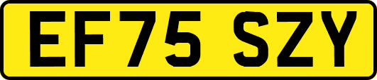 EF75SZY