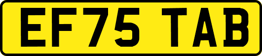 EF75TAB