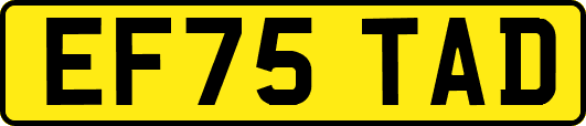 EF75TAD