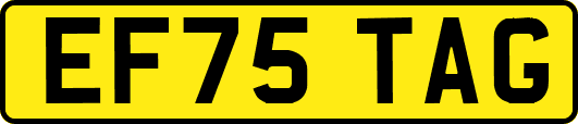 EF75TAG