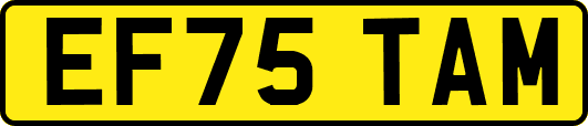 EF75TAM