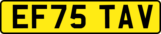 EF75TAV