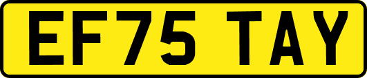 EF75TAY