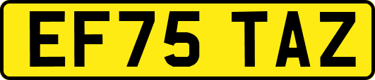 EF75TAZ