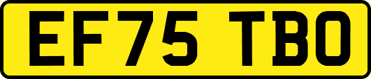 EF75TBO